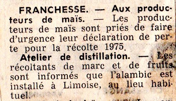 19 novembre 1975